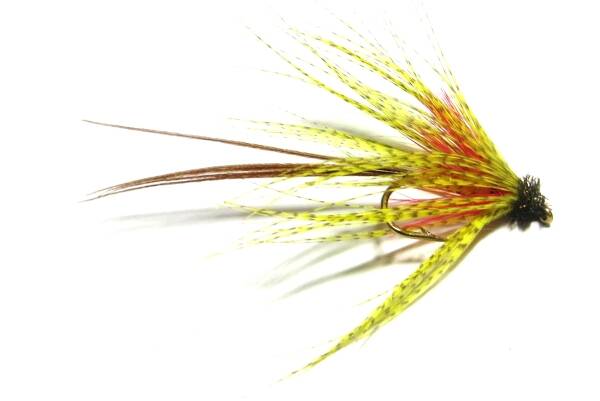 Peacock & Partridge #10