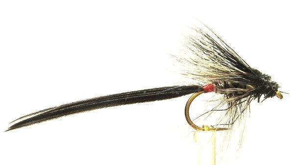 Lough Sheelin Spent #10