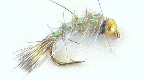 Nugget Bug Haresear GH #12