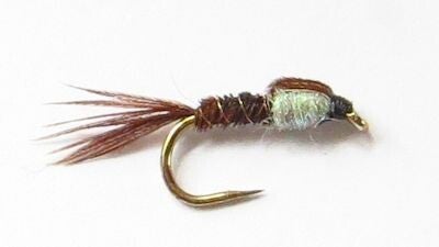 PTN Sparkle Thorax #12