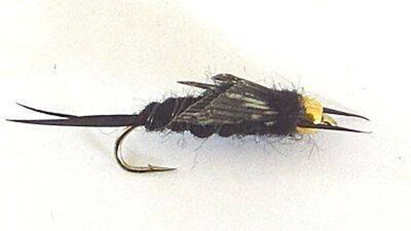 Stonefly GH #6