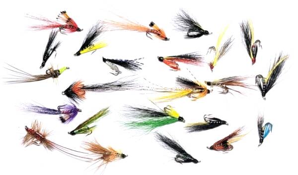 Offer - 23 Salmon Doubles Set #14