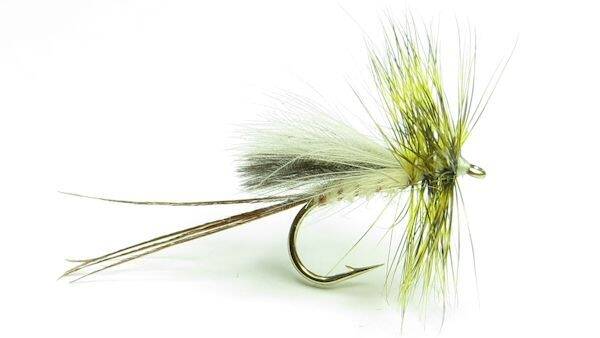 Olive CDC Emerger #10