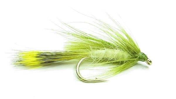 Olive CDC Mayfly #10