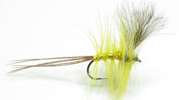 Olive Gold CDC Mayfly #10