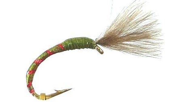 Olive Red CDC