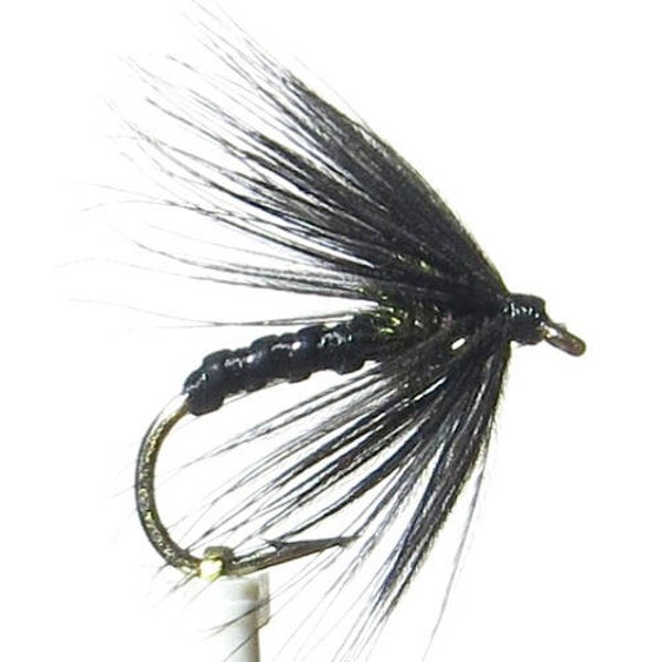 Peacock & Black #10