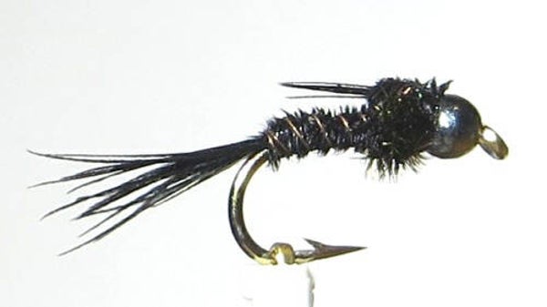 PTN Black & Peacock #14