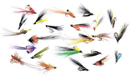 Special Offer 12 Mixed Salmon Doubles