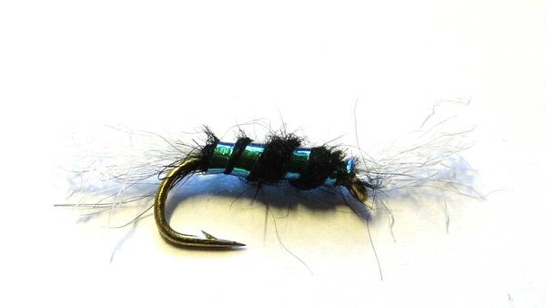 Shipmans Black 12