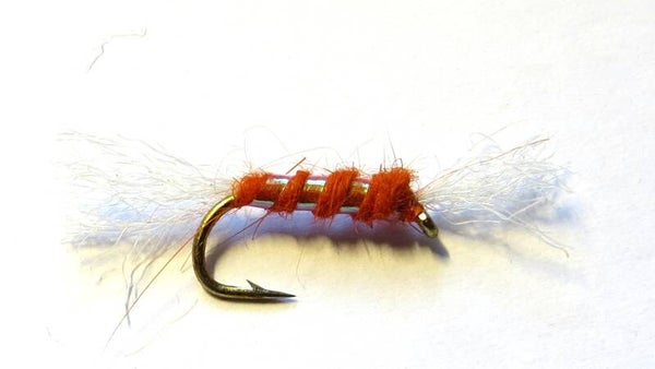 Shipmans Orange 12