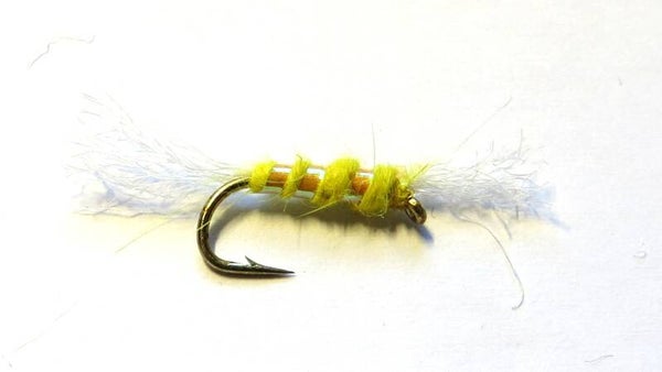 Shipmans Yellow