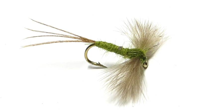 Olive Spinner Spent #12