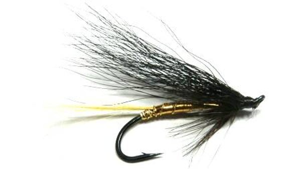 Golden Stoat Salmon Single #10