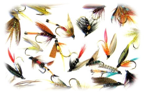 Special Offer 24 Mixed Trout Flies