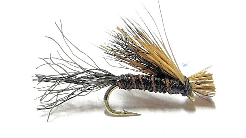X Caddis Black #18