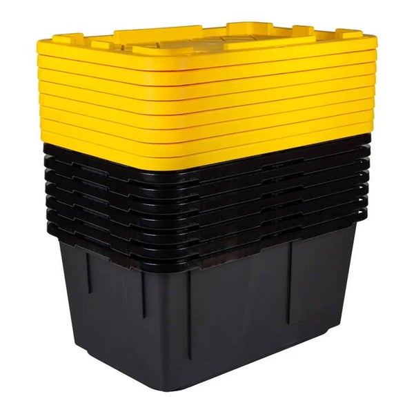 2 Week Move Tote Rental