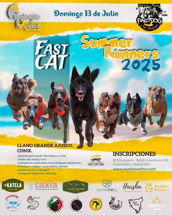 FAST CAT "SUMMER RUNNERS 2025"