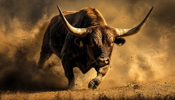 Dust Bull 3021