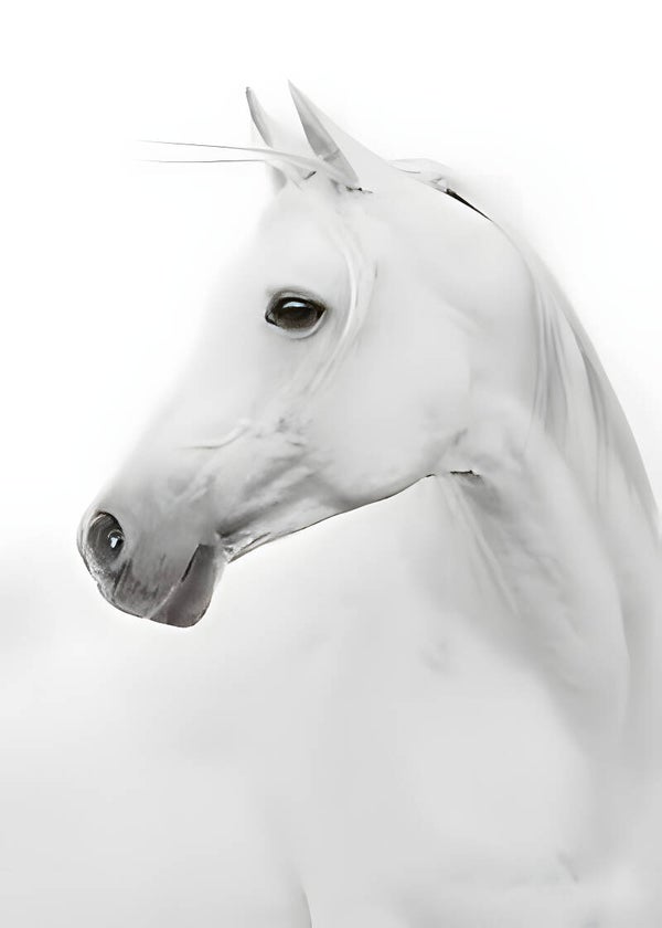 White Horse 3066