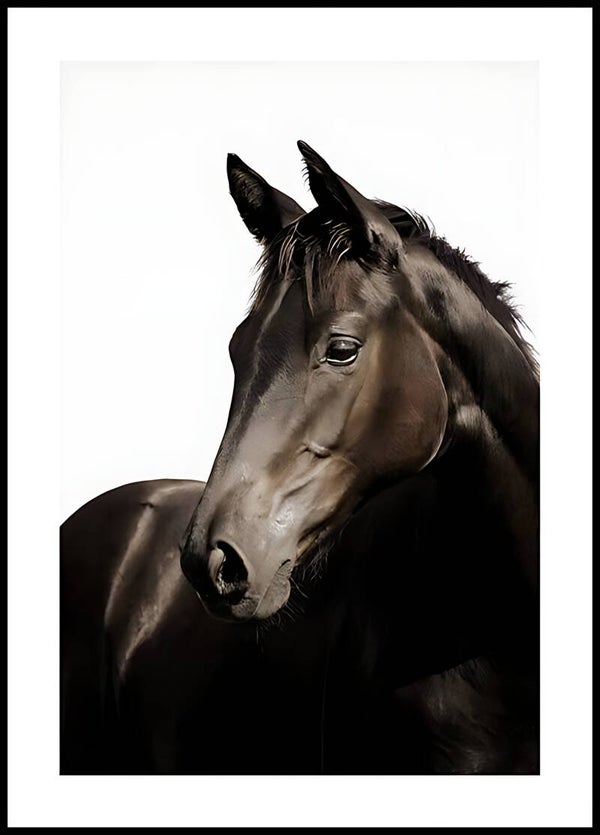 Black Horse 3067