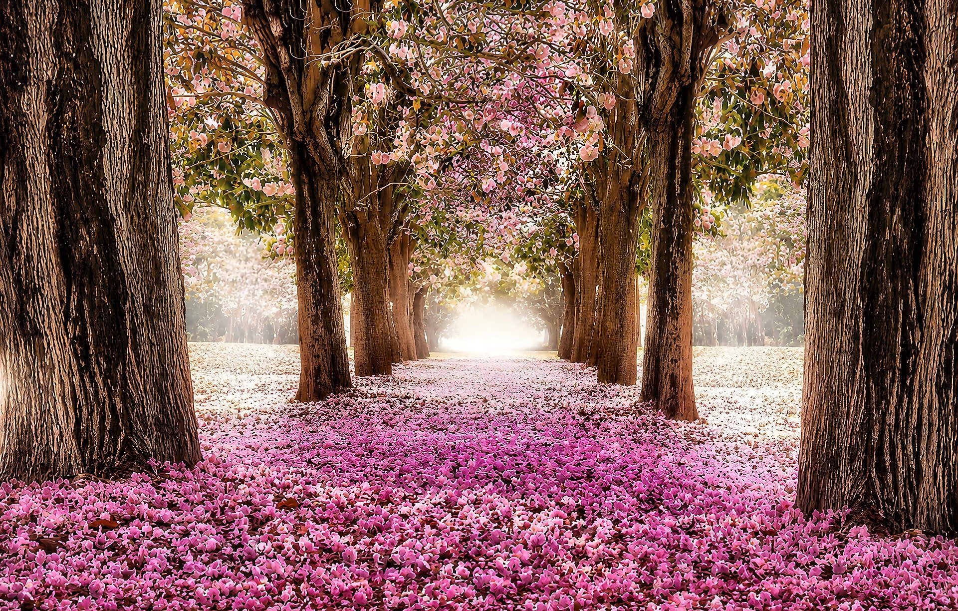 Blossom Landscape 2007