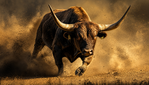 Bull 3021
