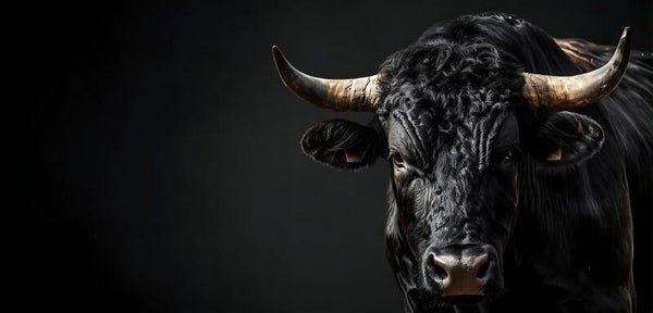 Black Bull 3043