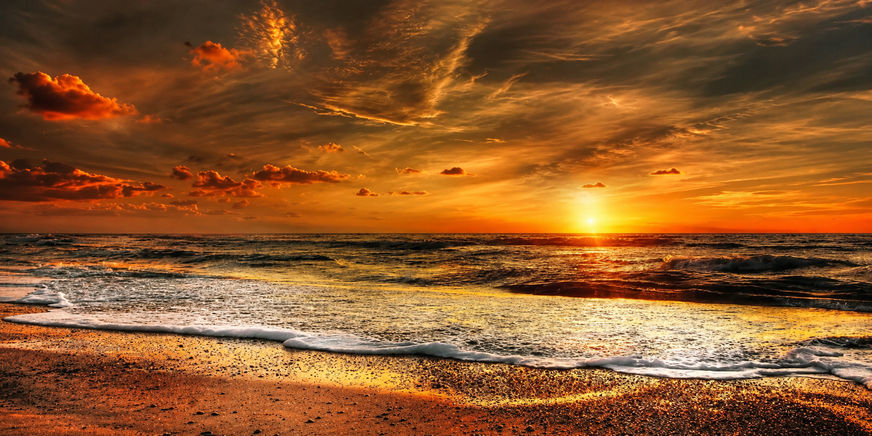 Landscape 2021