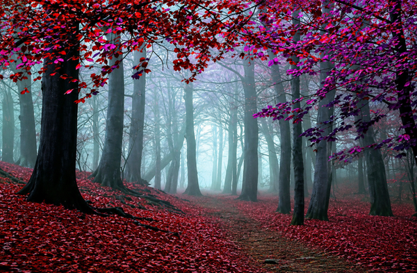 Landscape 2027