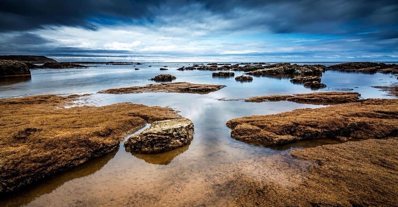 Landscape 2015