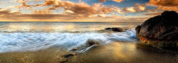 Landscape 2042