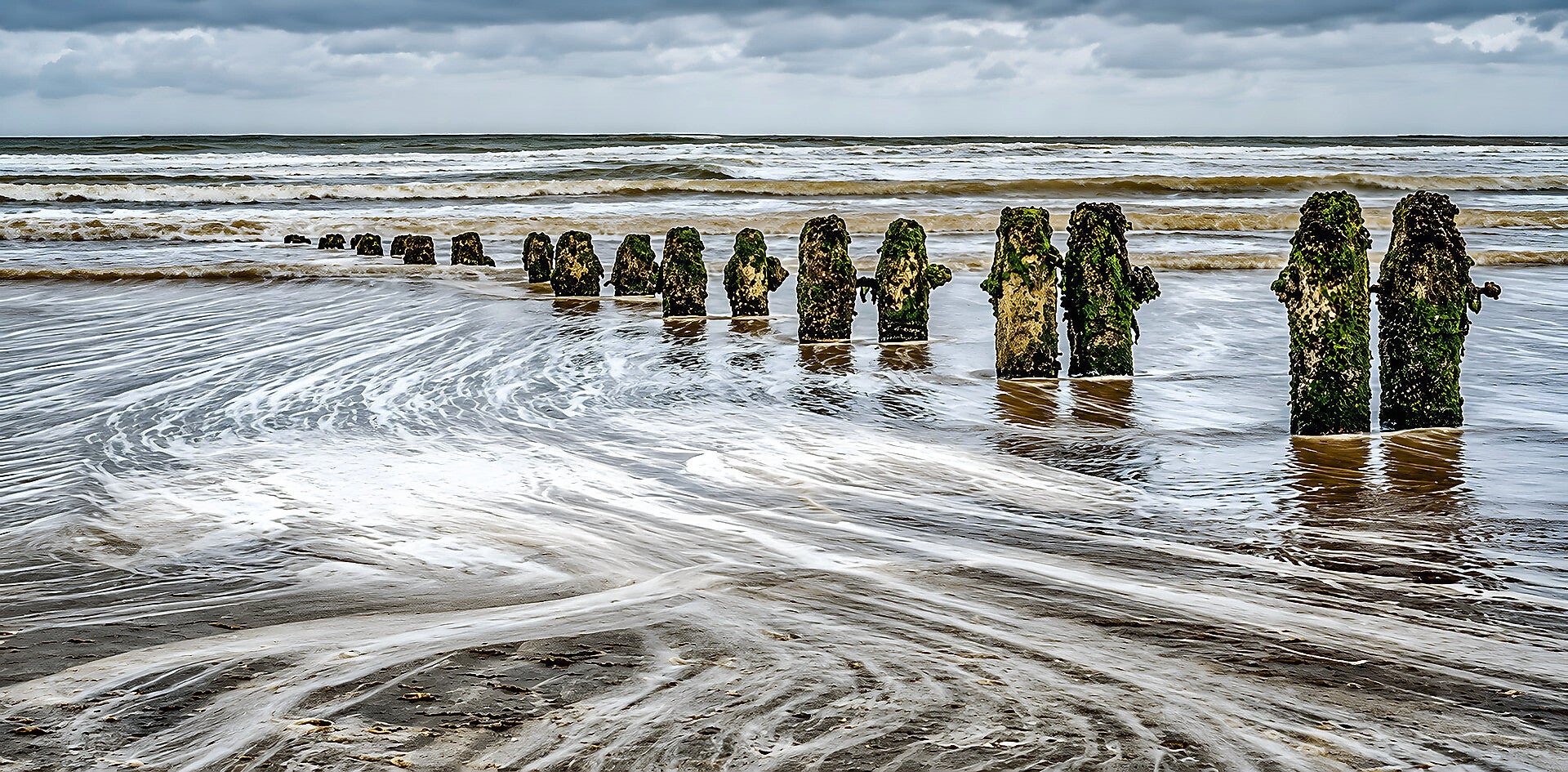 Seaweed Landscape 2020