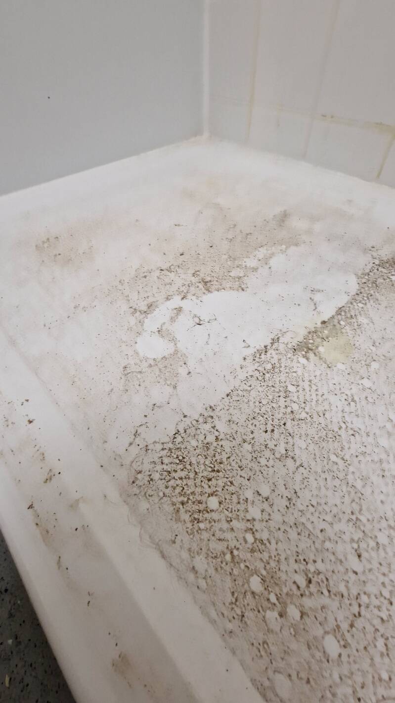 Shower tray before