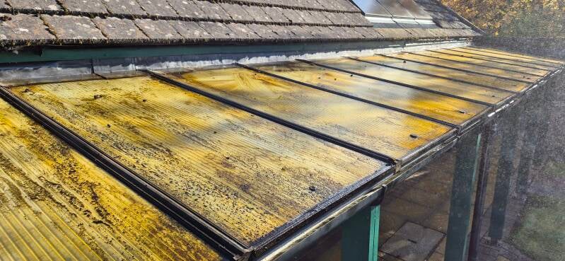 Canopy before cleaning