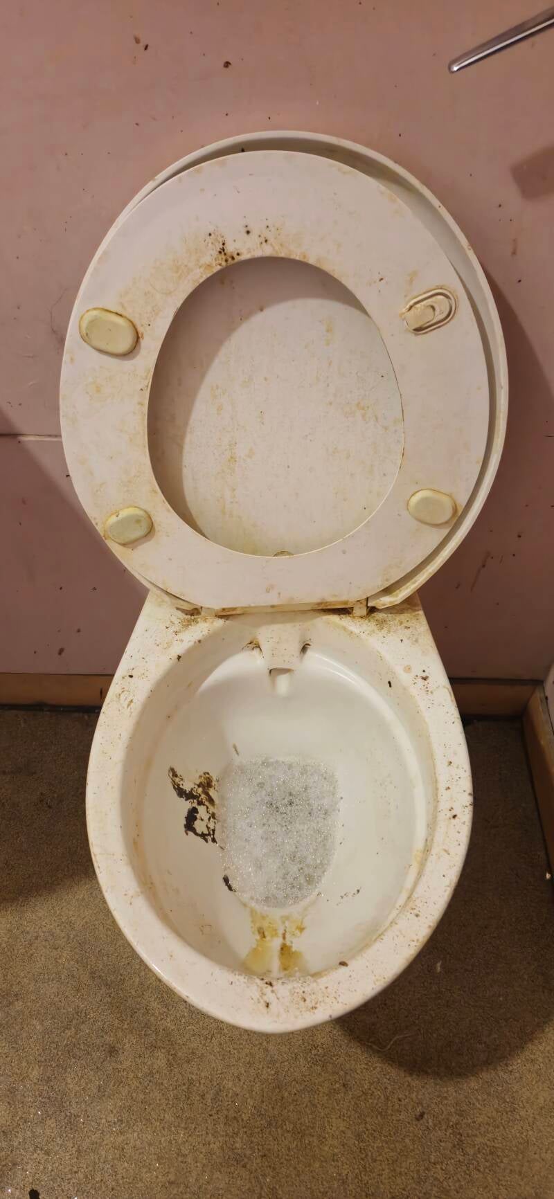 Toilet before cleaning 