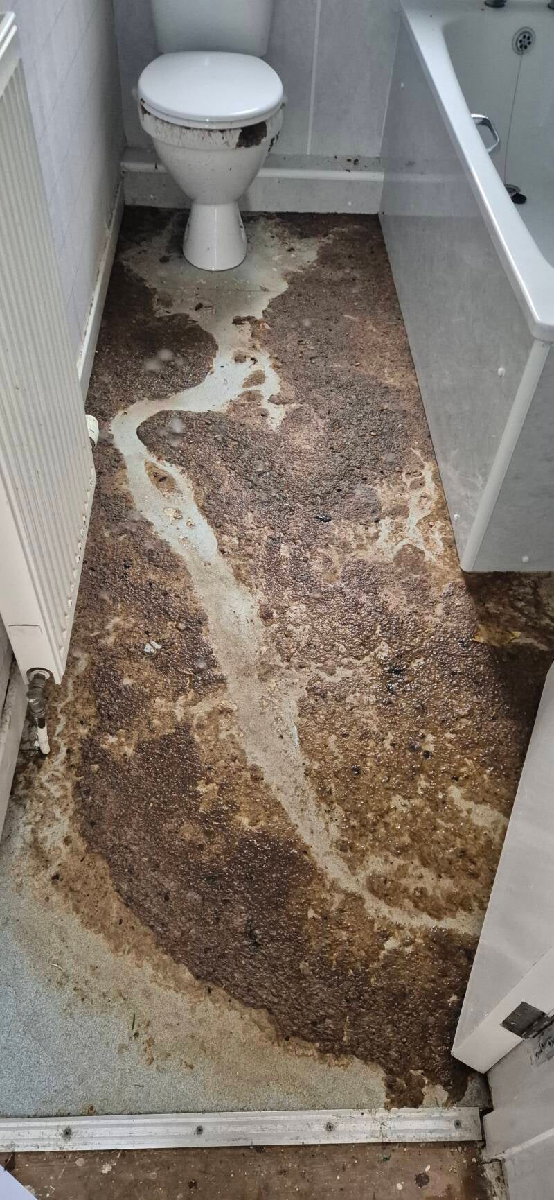 Toilet floor after flood before picture