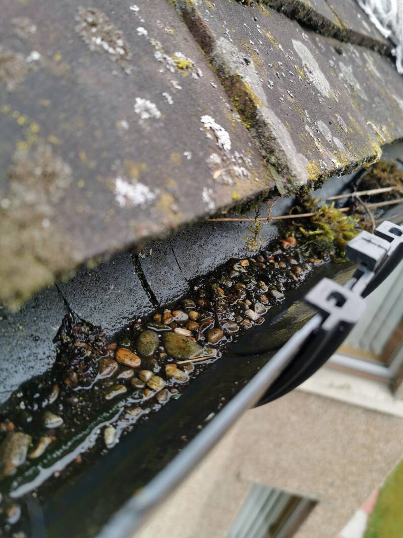 Debris in roof gutter