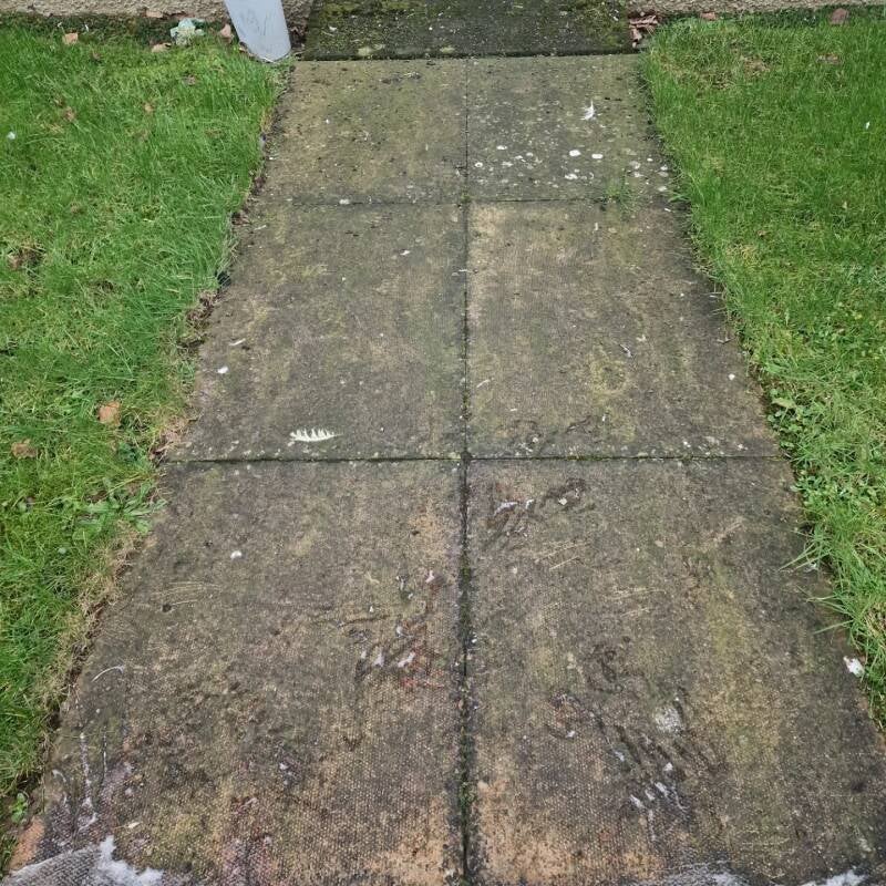 Before image of algae stained pathway 