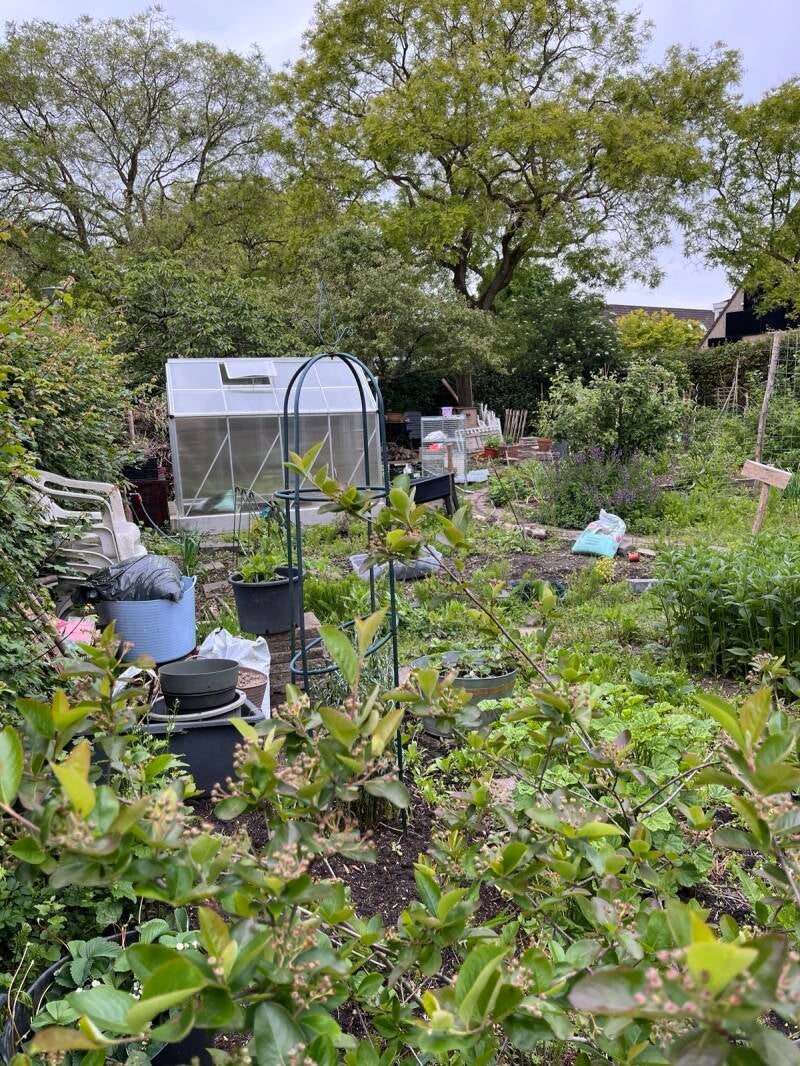Moestuin  Centraal Wonen Zevenkamp