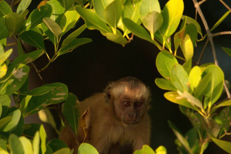 etienne-je-ne-me-cache-pas-et-tu-me-vois-derriere