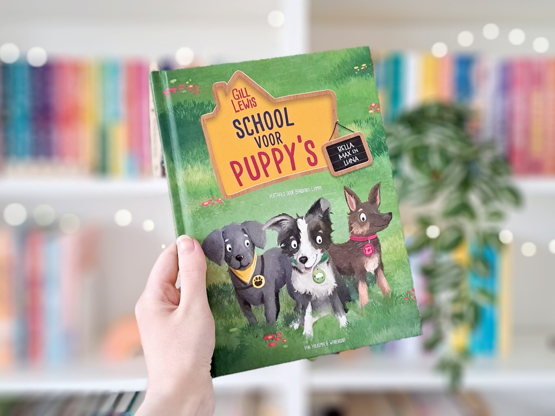 Een witte hand houdt 'School voor puppy's' van Gill Lewis omhoog voor een kleurrijke wazige boekenkast met lichtjes. Foto bij recensie van turnthepages.nl | Rolstoelgebruiker en disabled bookstagrammer en neurodivergente boekblogger.