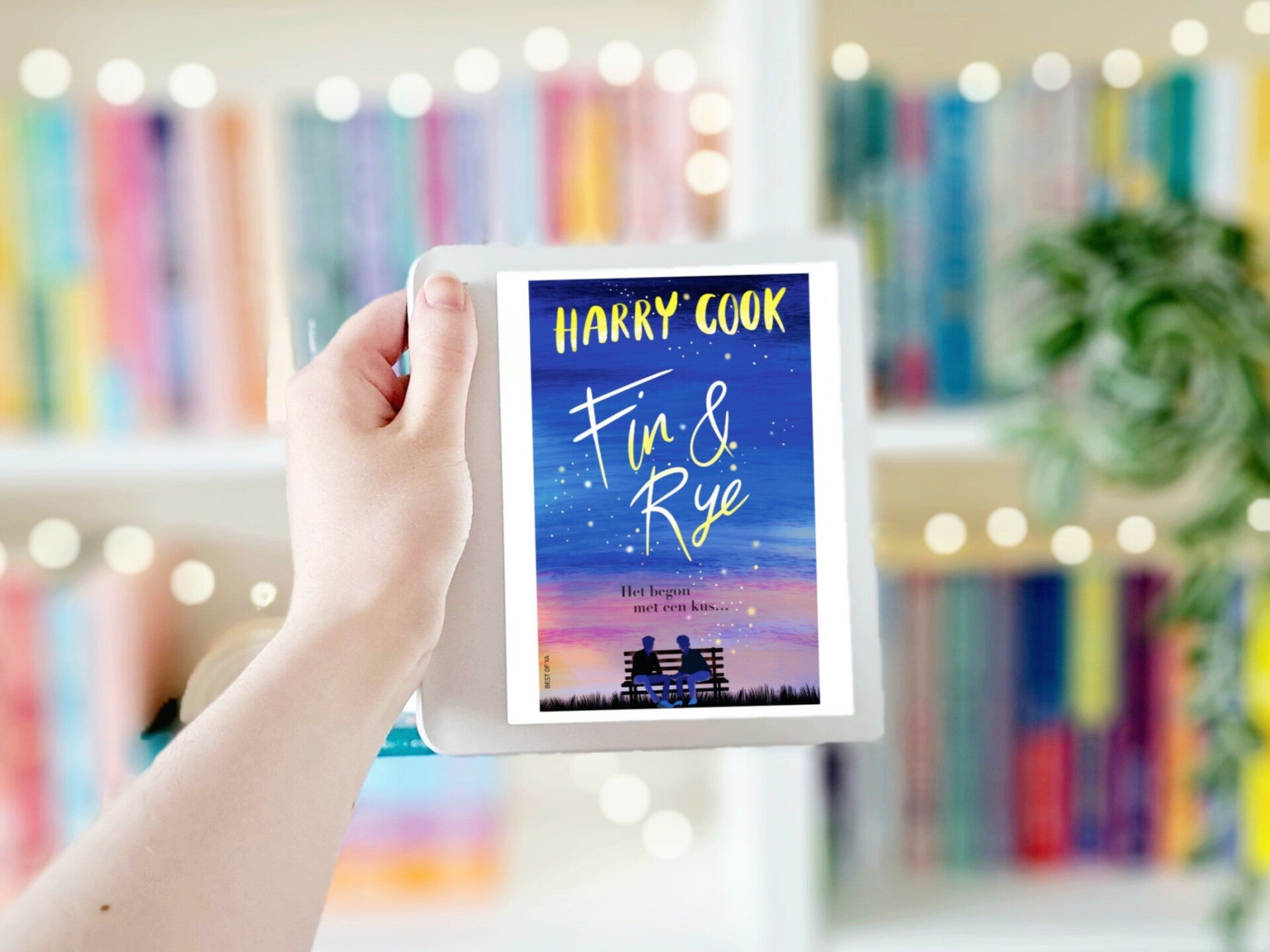Een witte hand houdt 'Fin & Rye' van Harry Cook omhoog voor een kleurrijke wazige boekenkast met lichtjes. Foto bij recensie door turnthepages.nl Rolstoelgebruiker en disabled bookstagrammer en blogger.