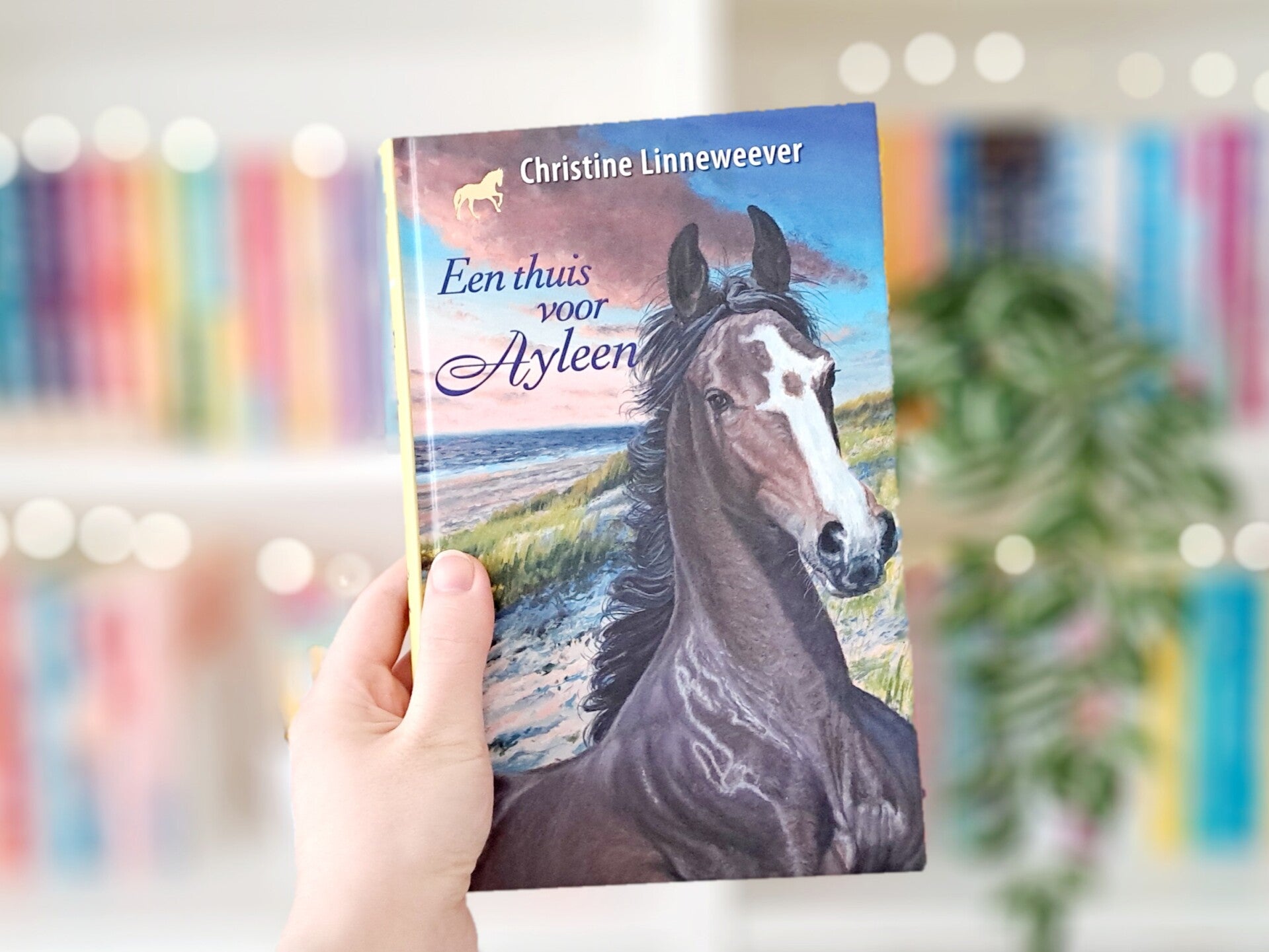 Een witte hand houdt 'Een thuis voor Ayleen' van Christine linneweever omhoog voor een kleurrijke wazige boekenkast met lichtjes. Recensie door turnthepages.nl | Disabled bookstagrammer, chronisch zieke rolstoelgebruiker en boekblogger met ADHD