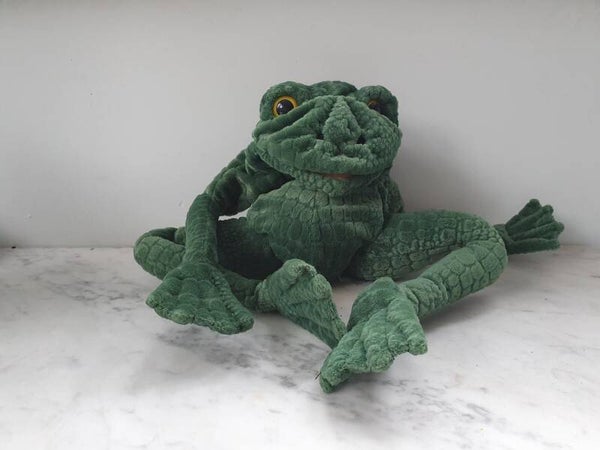 Langbenige kikker - Long Legged Frog