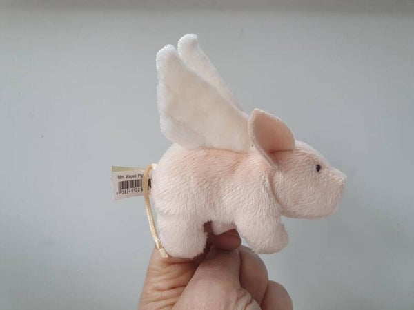 Mini varkentje of biggetje met vleugels - Mini winged piglet