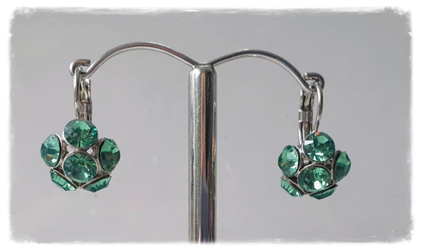 Tendenza oorbellen blauw/groen