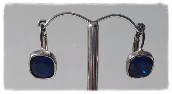 Tendenza oorbellen blauw