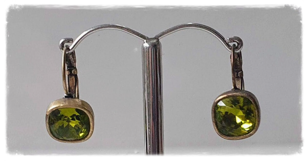 Tendenza oorbellen groen