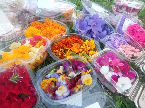 Barquettes de Fleurs comestibles